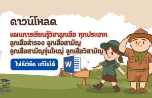ดาวน์โหลด แผนการเรียนรู้วิชาลูกเสือ ทุกประเภท ลูกเสือสำรอง ลูกเสือสามัญ ลูกเสือสามัญรุ่นใหญ่ ลูกเสือวิสามัญ ไฟล์เวิร์ด แก้ไขได้