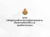 สพฐ.เผยแพร่ หลักสูตรการศึกษาประถมศึกษาตอนปลาย (ชั้นประถมศึกษาปีที่ 4-6) พุทธศักราช 2568 (ฉบับร่าง)
